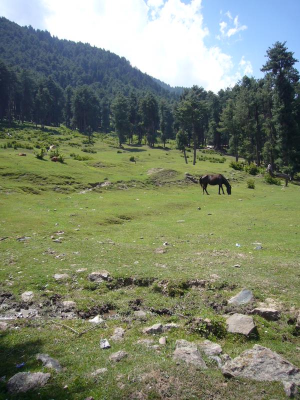 Around Bentes Lodge